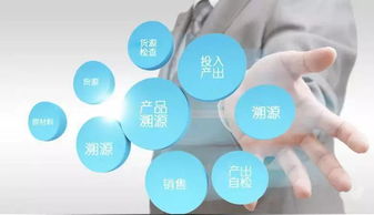 食品生產(chǎn)經(jīng)營電子追溯系統(tǒng)及其信息系統(tǒng)運(yùn)行維護(hù)服務(wù)的關(guān)鍵要點(diǎn)